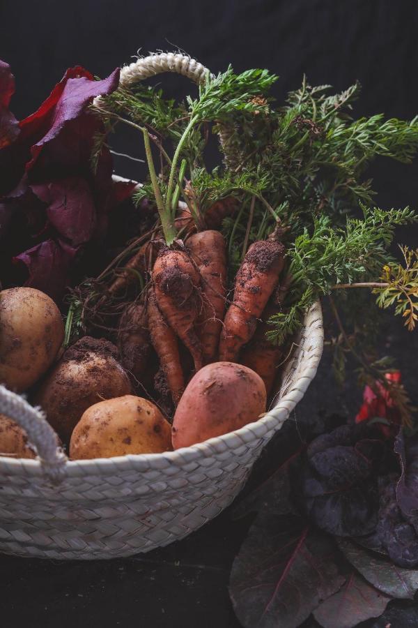 Agriturismo Osteria Du Barba Pe' - Casa Cassini Bordighera Luaran gambar