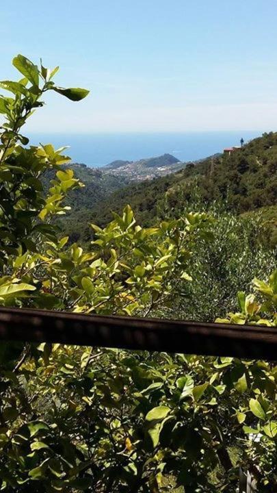 Agriturismo Osteria Du Barba Pe' - Casa Cassini Bordighera Luaran gambar