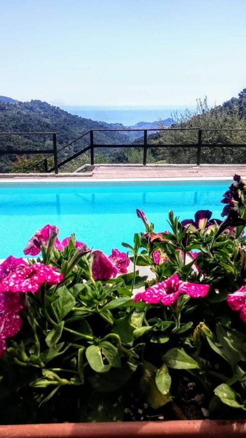 Agriturismo Osteria Du Barba Pe' - Casa Cassini Bordighera Luaran gambar